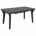 Table de jardin extensible en plastique avec pieds d¨¦montables 160/220x90x74 cm